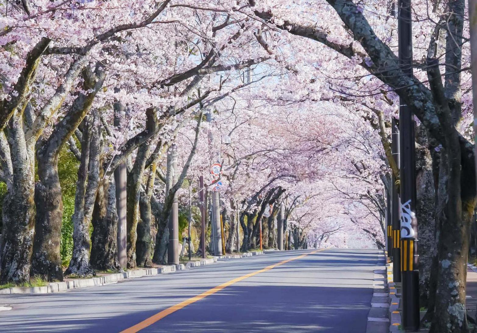 Villa 伊豆高原テラス-寛道- à Itō Extérieur photo