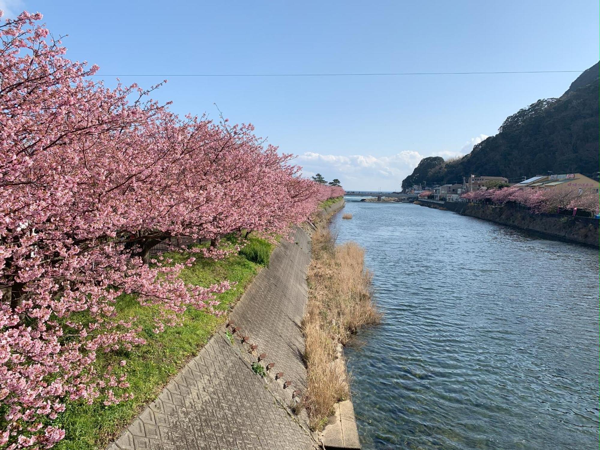 Villa 伊豆高原テラス-寛道- à Itō Extérieur photo